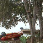 Ibiporã: Filho que estuprou mãe com cabo de vassoura é encontrado decapitado em rio