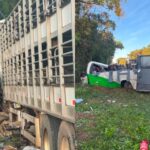 Tragédia na BR-373 supera número de mortes do último grande acidente em rodovias federais do PR