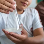 Alunos de Londrina pesquisam repelente de escorpiões com arruda